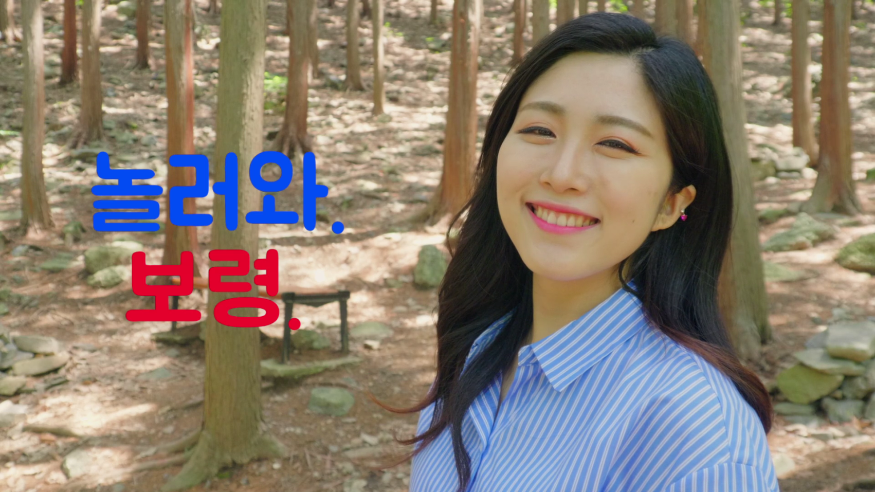 그곳에 가고싶다 '성주산 편백나무 숲'